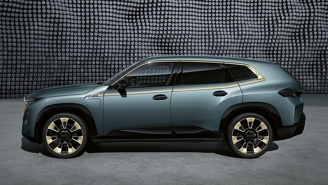 Қырынан көрінісі