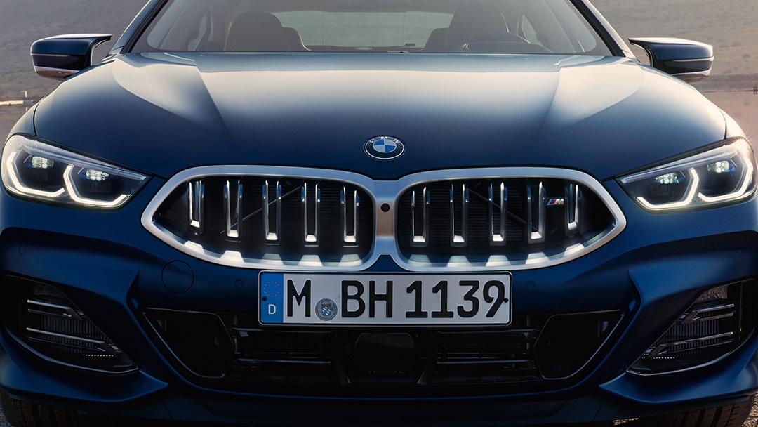 BMW Iconic Glow радиатор торы