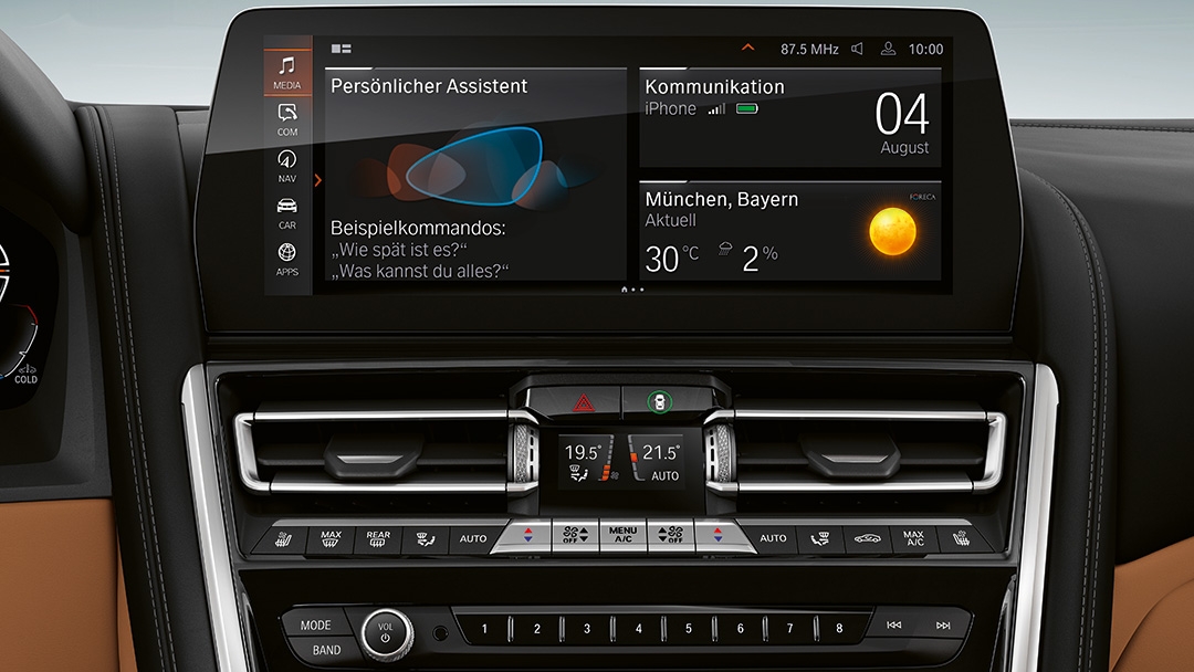 BMW Live Cockpit Professional